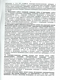 Экспертное заключение на вид деятельности (работы, услуги)